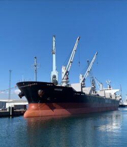 Hinase_i_aarhus_2